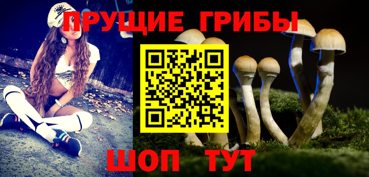 Галлюциногенные грибы Magic Shrooms  Галлюциногенные грибы Psilocybe  Вход с VPN  Каменск-Шахтинский 