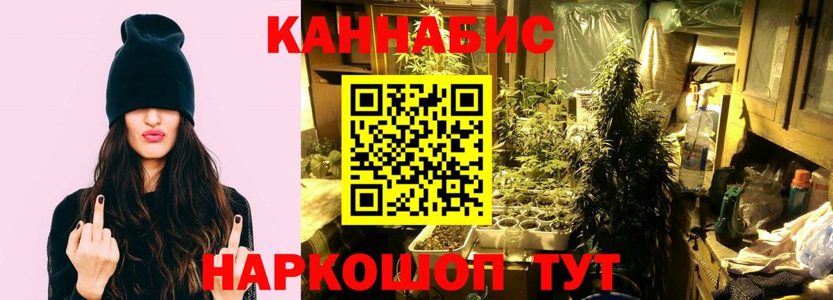 Каннабис конопля Каменск-Шахтинский